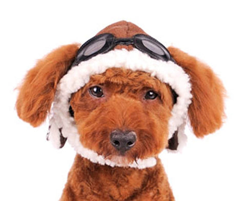 Aviator Hat with Goggles and Themed Charm for Dogs - Daisey's Doggie Chic