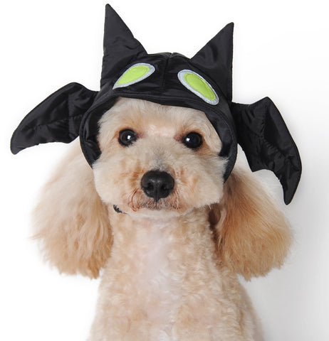 Spooky Bat Hat  "Glow in the Dark "  Hat for Dogs in color Black - Daisey's Doggie Chic