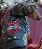 Biker Dawg Motorcycle Harness Jacket and Charm -Choice of 2 Colors Black or Pink - Daisey's Doggie Chic