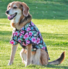 Camp Shirt in color Hawaiian Hibiscus Black Floral - Daisey's Doggie Chic
