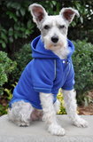Fleece Lined Sport Sweatshirt Hoodie for Dogs in Color Nautical Blue - Daisey's Doggie Chic