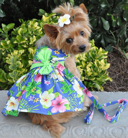 Blue Hibiscus Hawaiian Floral Party Harness Dress with Charm and matching Leash - Daisey's Doggie Chic