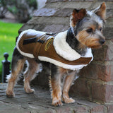 Aviator Bomber Pilot Jacket Harness with Airplane Themed Charm & Leash in color Chocolate - Daisey's Doggie Chic