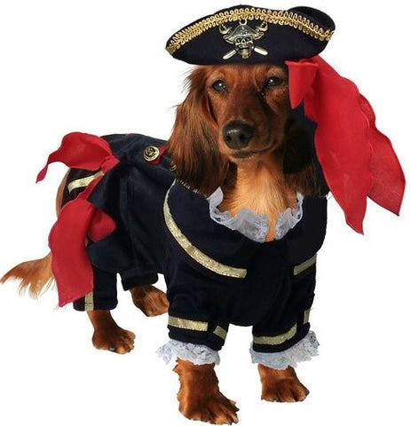 Deluxe Supreme Buccaneer Pirate Costume with Tricorner Hat for Dogs - Daisey's Doggie Chic