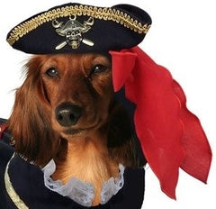 Buccaneer Pirate Hat for Dogs - Daisey's Doggie Chic