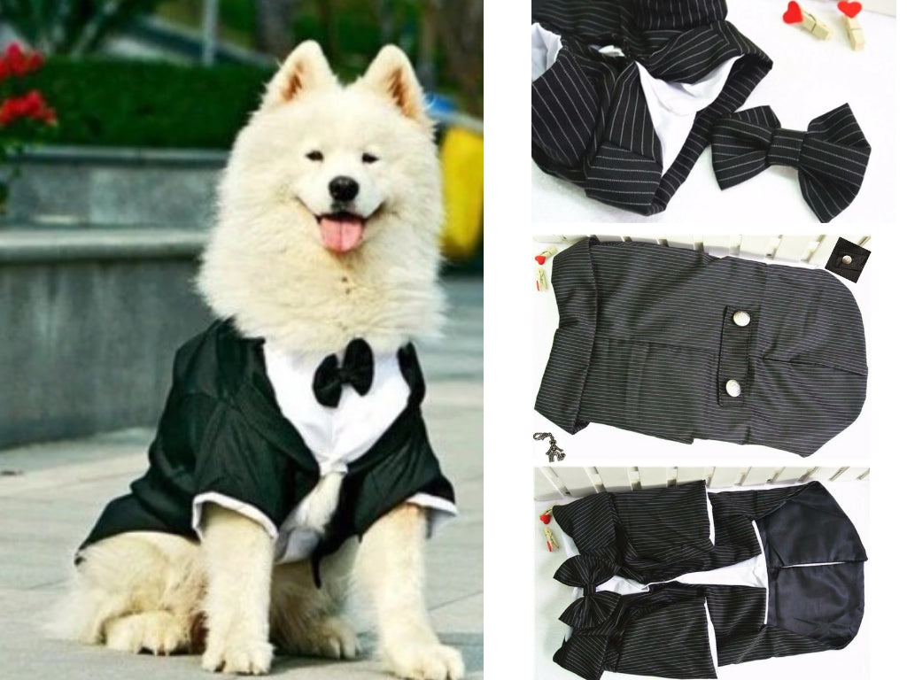 Wedding Formal Black Tails Tuxedo Jacket With Detachable Bow Tie and Themed Accessory - For Bog Dog Sizes 3XL to 5XL - Daisey's Doggie Chic