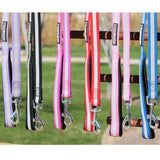 Reflective Nylon Leash with Soft Grip Handle - 60" Long x 3/4" wide - Available in 6 colors - Daisey's Doggie Chic