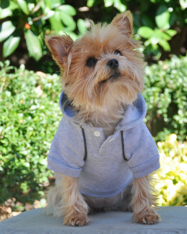 Fleece Lined Sport Sweatshirt Hoodie for Dogs in Color Heather Gray - Daisey's Doggie Chic
