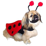 "Winged Ladybug" Dog Costume - Daisey's Doggie Chic