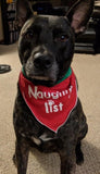 Naughty or Nice Reversible Holiday Scarf with Clip on Charm - color Red/Green - Daisey's Doggie Chic