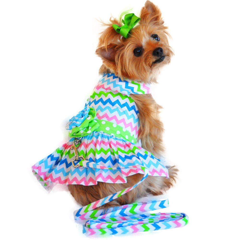 New Wave Multi-Colored Party Harness Dress with matching Leash - Daisey's Doggie Chic