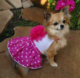Pink Polka Dotted Daisy Party Dress - Daisey's Doggie Chic