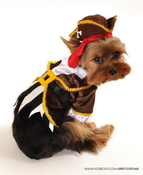 Pirate " Seadog Captain" Dog Costume - Daisey's Doggie Chic