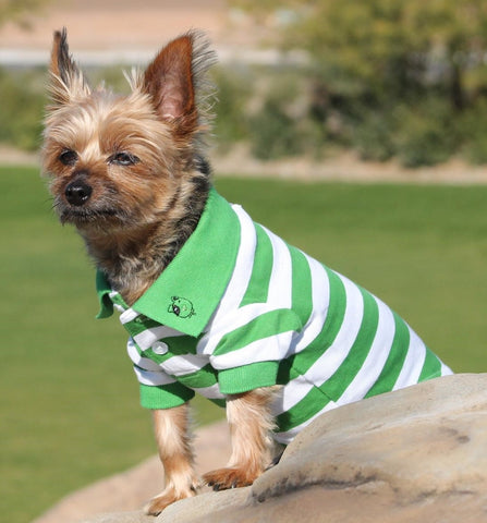 Classic Striped Polo Shirt in color Green Stripes - Daisey's Doggie Chic