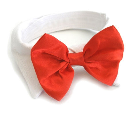 Holiday Red Satin Bow Tie and Dress-up Collar - Daisey's Doggie Chic