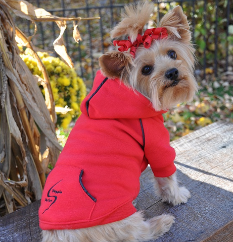 Fleece Lined Sport Sweatshirt Hoodie for Dogs in Color Bright Red - Daisey's Doggie Chic