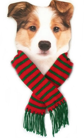Candy Cane Striped Knit Fringe Scarf for Dogs Available in 4 Colors - Daisey's Doggie Chic