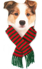 Candy Cane Striped Knit Fringe Scarf for Dogs Available in 4 Colors - Daisey's Doggie Chic