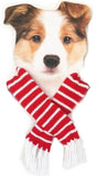 Candy Cane Striped Knit Scarf for Dogs Color Red/White - Daisey's Doggie Chic