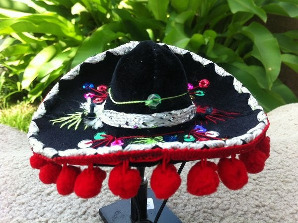 Pom Pom Mariachi Sombrero Hat for Dogs (Patterns Vary) - Daisey's Doggie Chic