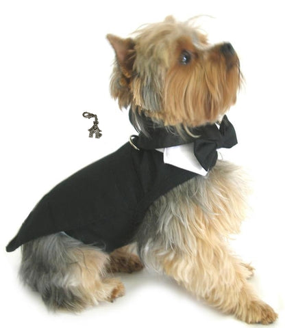 Formal Black Tails Tuxedo with Top Hat & Charm - Wedding Suit Harness Set - Daisey's Doggie Chic