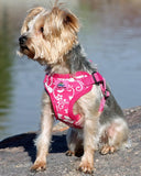 Wrap-Snap-n-Go  Choke-Free Harness in Pink Hibiscus - Daisey's Doggie Chic